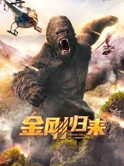 金刚归来 poster