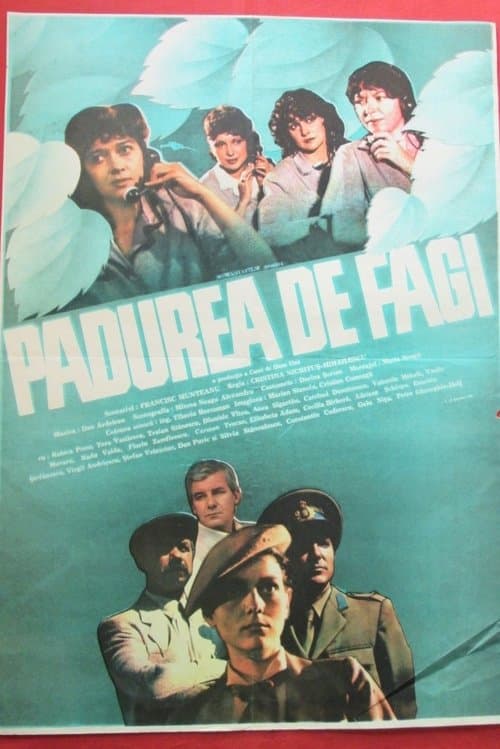 Pădurea de fagi poster