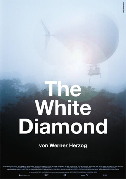 The White Diamond poster