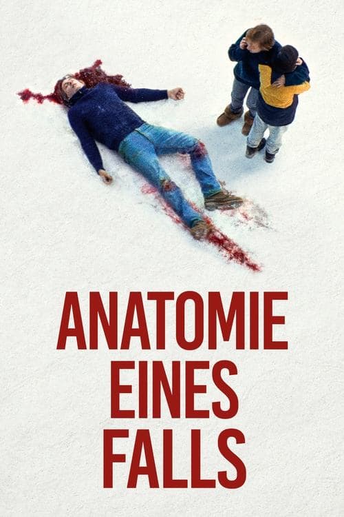 Anatomie eines Falls poster