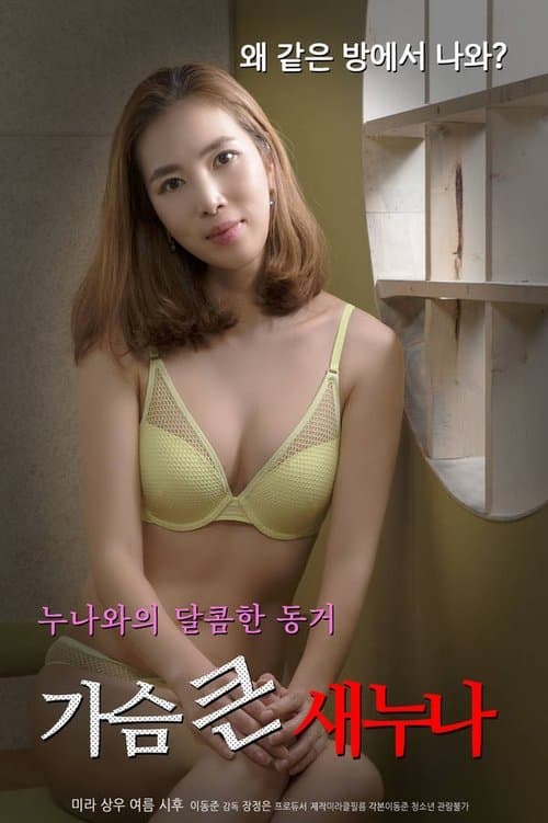 가슴 큰 새 누나 poster