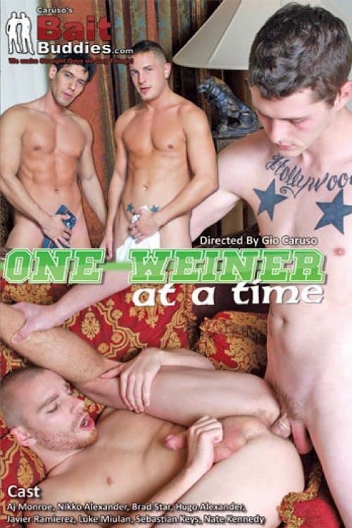 One Weiner at a Time poster