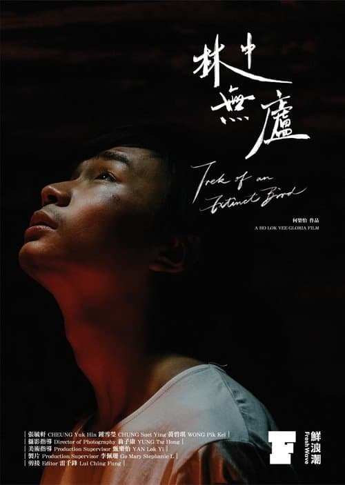 林中無廬 poster