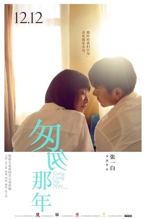 匆匆那年 poster