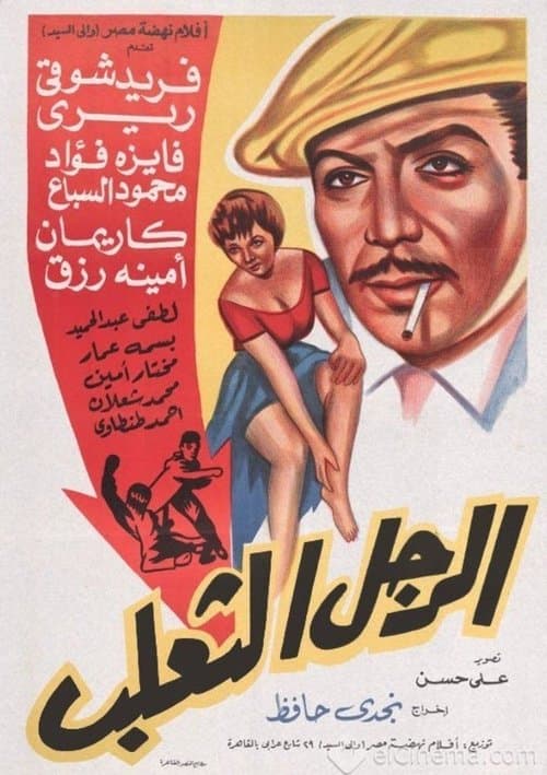 الرجل الثعلب poster
