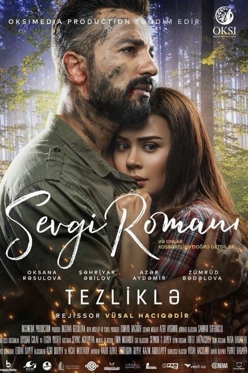 Sevgi Romanı poster