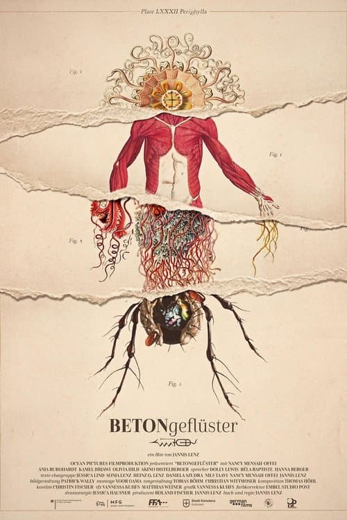 Betongeflüster poster