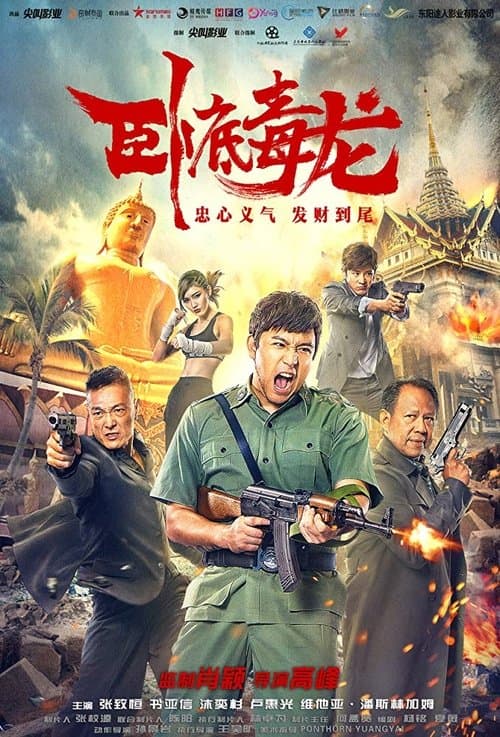 臥底毒龍 poster