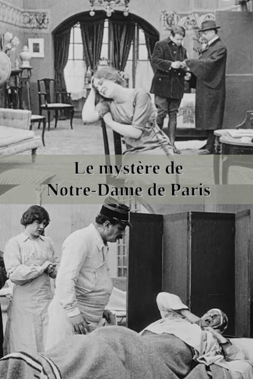 Le Mystère du Pont Notre Dame poster