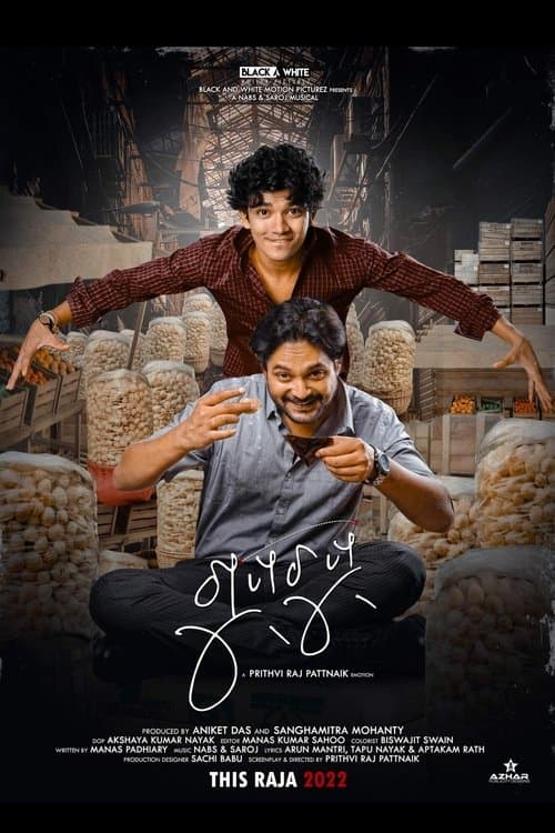 ଗୁପ୍‌ଚୁପ୍ poster