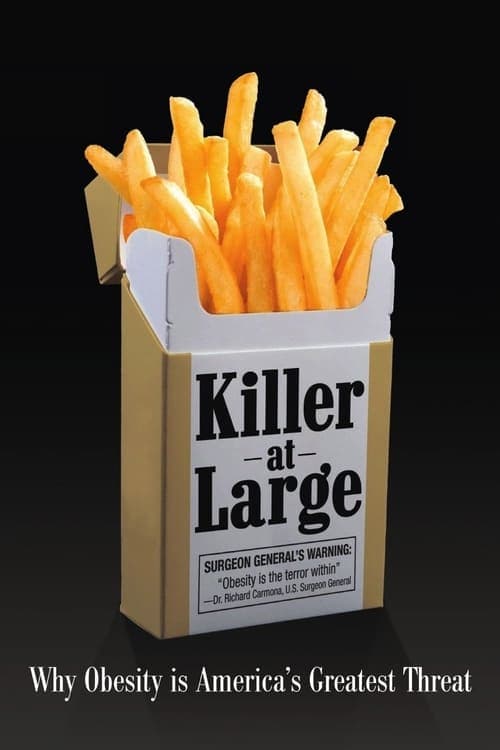 Killer at Large poster