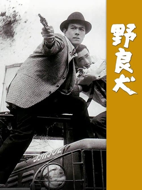 野良犬 poster