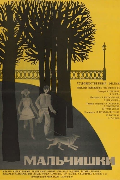 Мальчишки poster