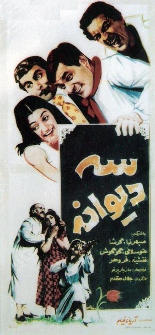 سه دیوانه poster