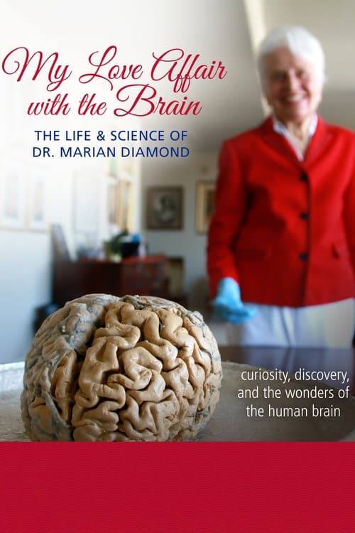 My Love Affair with the Brain poster