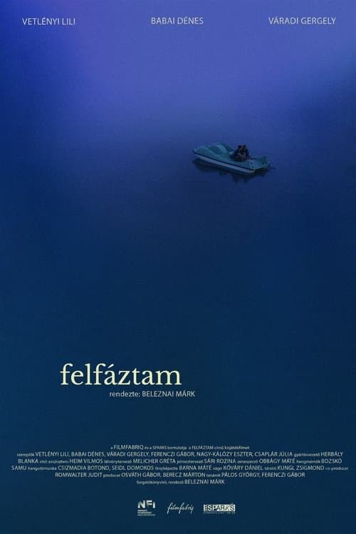 Felfáztam poster