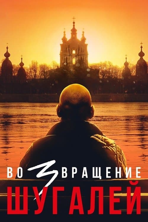 Возвращение. Шугалей poster