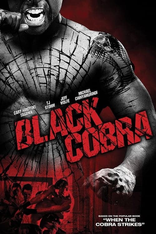 Black Cobra - Schwarze Diamanten poster