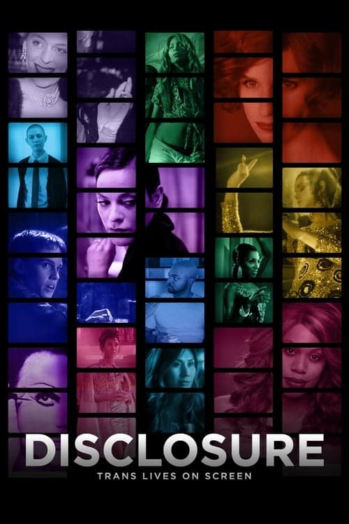 Disclosure - Hollywoods Bild von Transgender poster