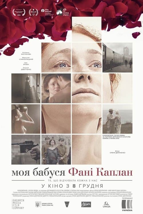 Моя бабуся Фані Каплан poster