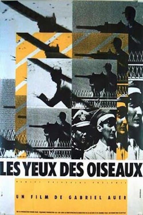 Les yeux des oiseaux poster