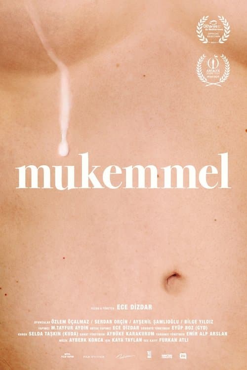 Mükemmel poster