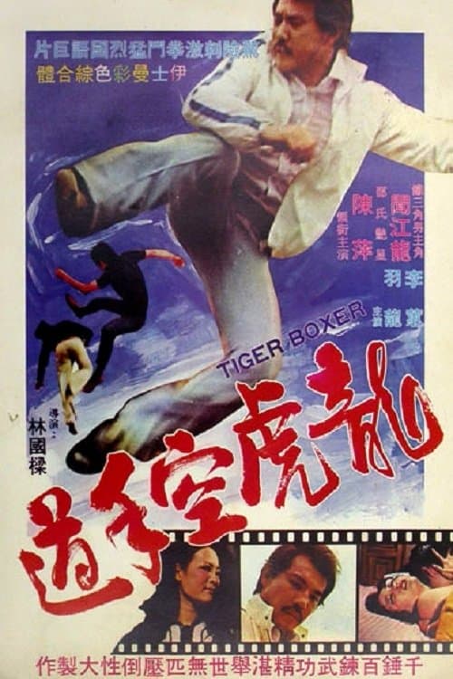 龍虎空手道 poster