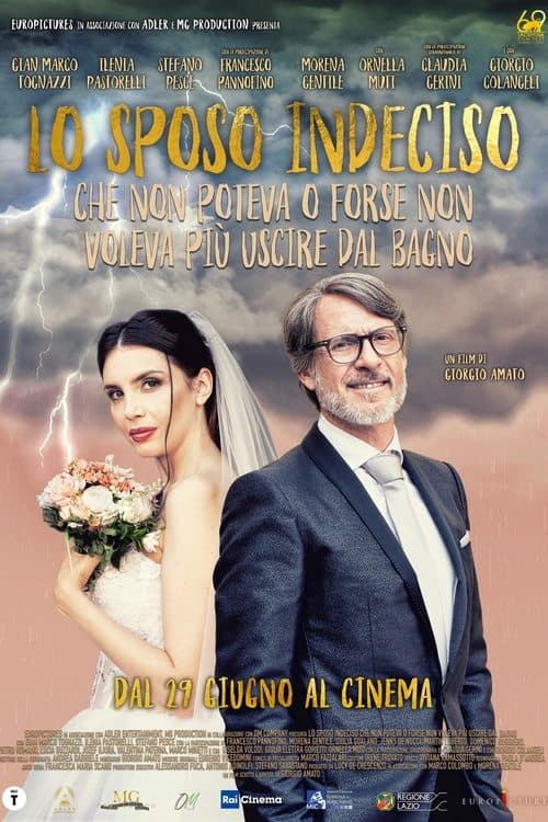 Lo sposo indeciso poster