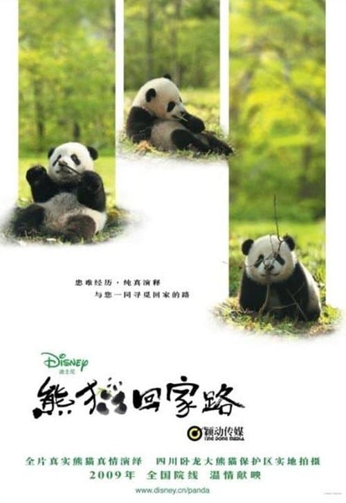 熊猫回家路 poster