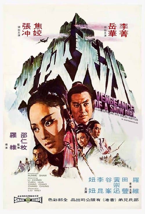 冰天俠女 poster