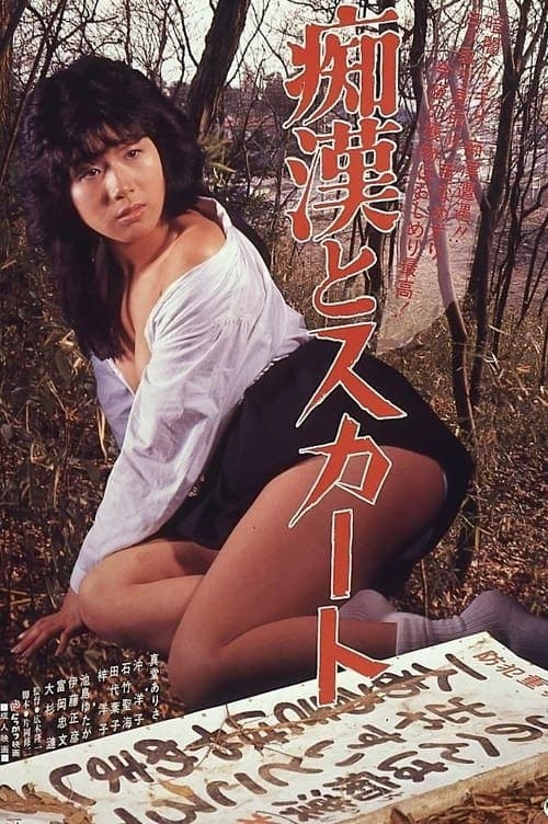 痴漢とスカート poster