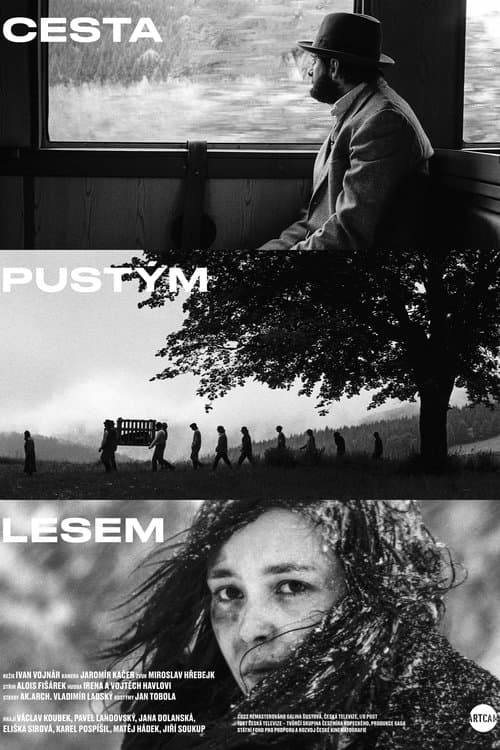 Cesta pustým lesem poster