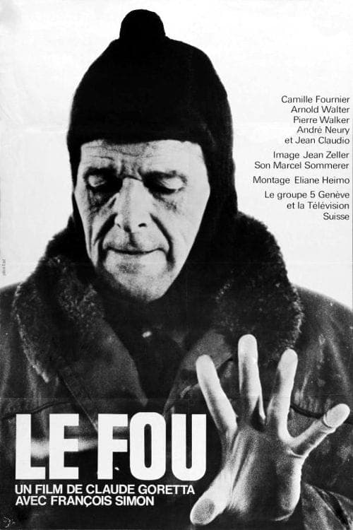 Le fou poster
