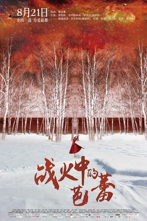 战火中的芭蕾 poster