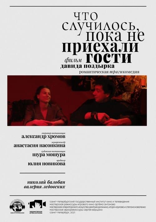 Что случилось, пока не приехали гости poster