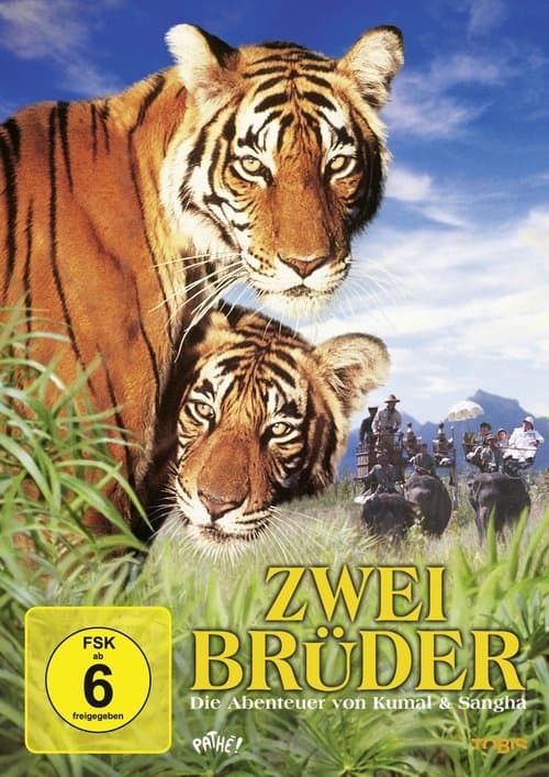 Zwei Brüder poster