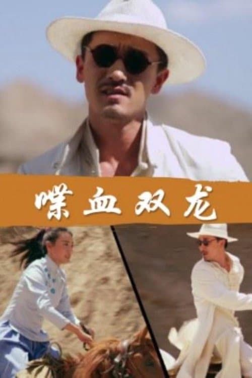 喋血双龙 poster