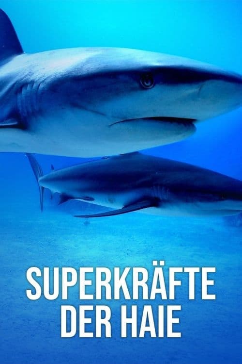 Superkräfte der Haie poster