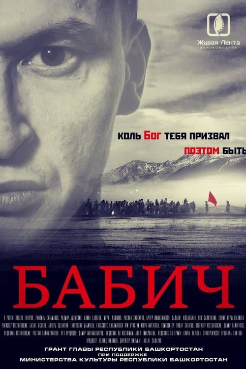 Бабич poster