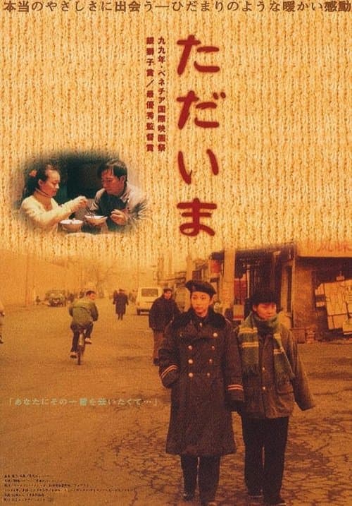 过年回家 poster
