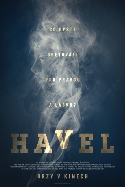 Havel poster