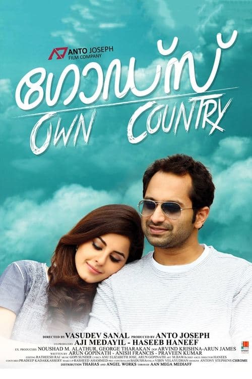 ഗോഡ്സ് Own Country poster