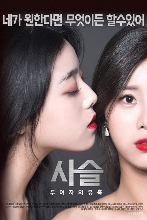 사슬-두여자의유혹 poster