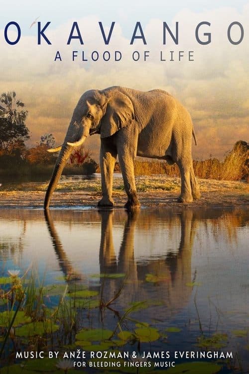 Okavango – Quelle des Lebens poster