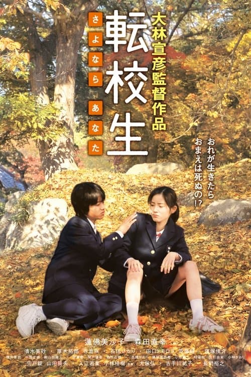 転校生 -さよなら あなた- poster