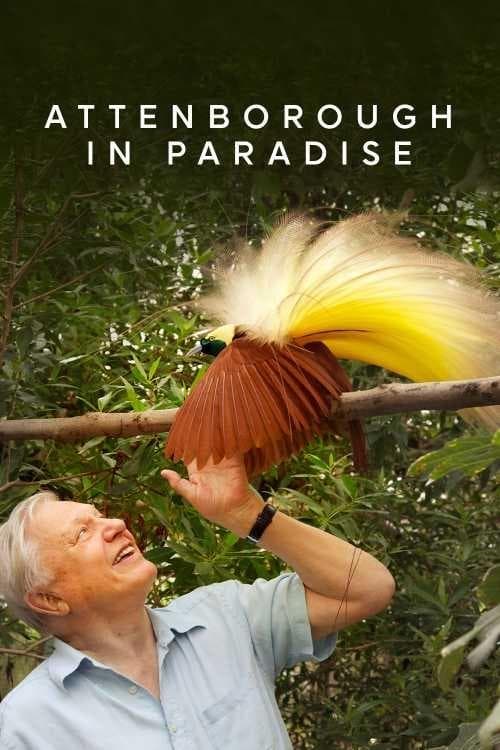Attenborough in Paradise poster