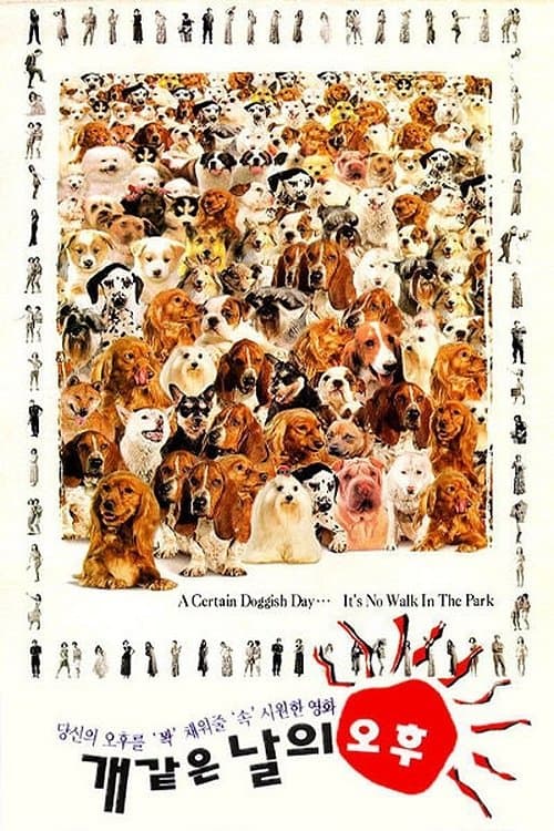 개같은 날의 오후 poster