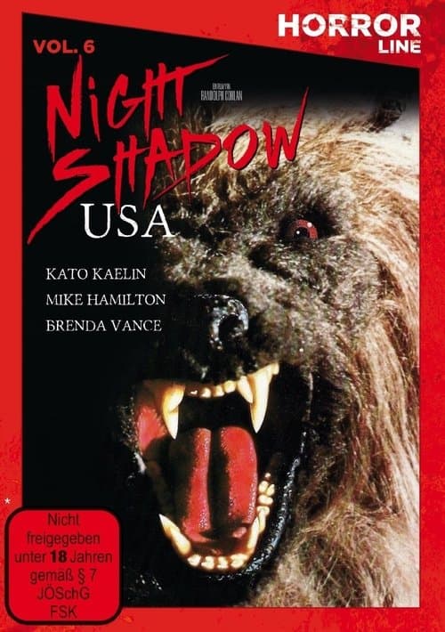 Night Shadow poster