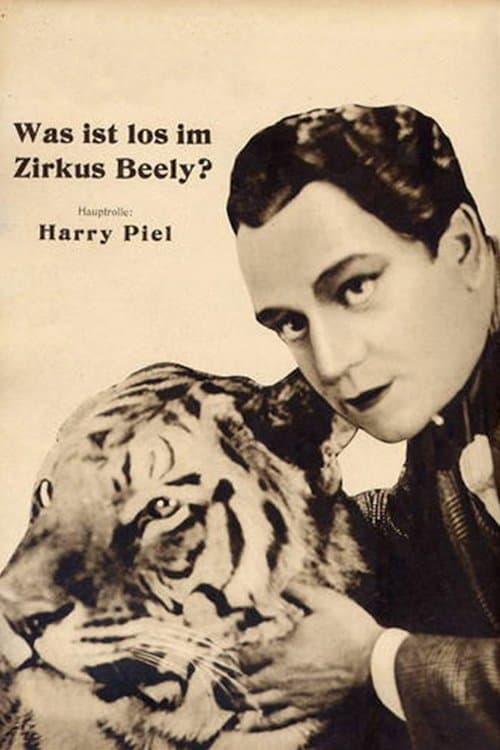 Was ist los im Zirkus Beely? poster
