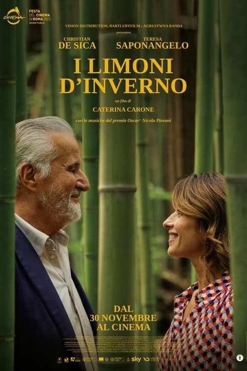 I limoni d'inverno poster